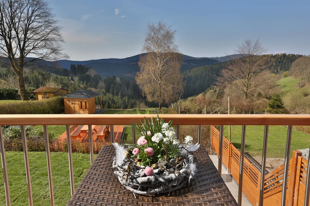 Landhaeuser Bergwiese - Ferienhaus Hoehenblick Sankt Andreasberg Luaran gambar